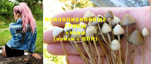 apvp Алексин