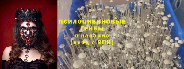 прущие крисы Алзамай